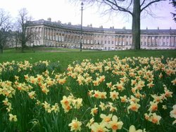 The Royal Crescent in bloom ! Wallpaper