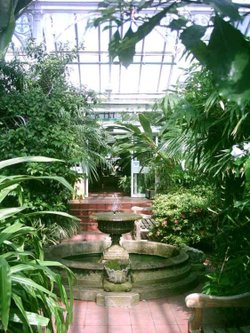 Birmingham Botanical Gardens in Bloom - Part 13