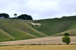 Cherhill White Horse