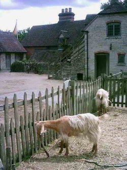 Stratford upon Avon - Mary Arden's Farm - Part 4