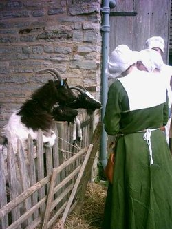 Stratford upon Avon - Mary Arden's Farm - Part 9