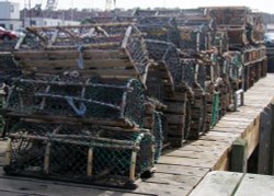 Lobster Pots October 2010 Wallpaper