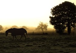 Cotswold sunrise Wallpaper