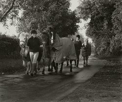 Off to work Wallpaper