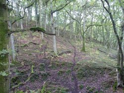 Quantock Hills Wallpaper