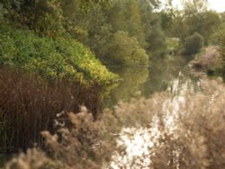 The Great Ouse, Thornton, Bucks