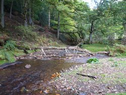 Quantock Hills Wallpaper