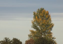 October sunlight at Thornton, Buckinghamshire Wallpaper