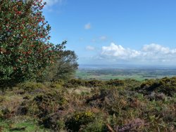 Quantock Hills Wallpaper
