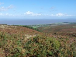 Quantock Hills Wallpaper