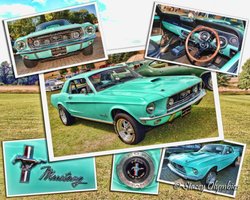 Classic Mustang Montage