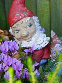 One day down In the flower bed