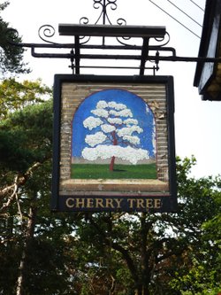 Pub sign