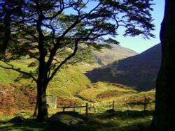 Greenfield. Wallpaper