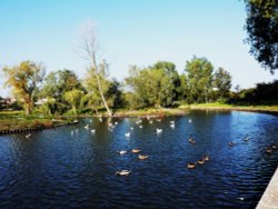 A view of Fen Park Wallpaper