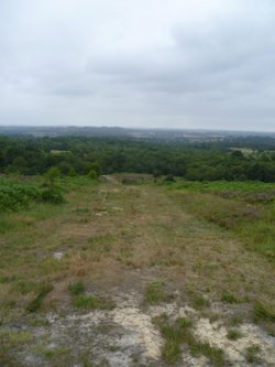 View over Ashdown Forest, Broadstone Walk