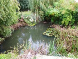A pond in Brampton Wallpaper