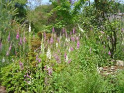 Furzey Gardens