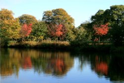 The Lake at Nidd. Autumn is starting to show its colours. Wallpaper