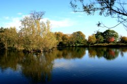 The Lake at Nidd. Autumn is starting to show its colours. Wallpaper