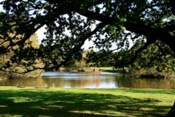 The Lake at Nidd. Wallpaper