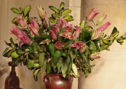 Flower display, All Saints' Church, Mixbury, Oxfordshire