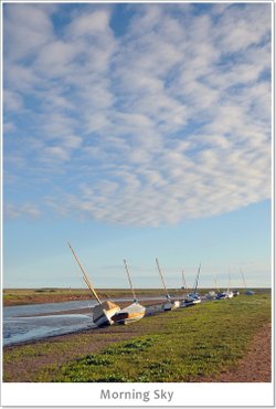 Morning Sky