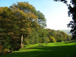 Jerusalem Farm, Booth, Halifax Wallpaper