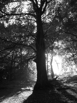 Jerusalem Farm, Booth, Halifax