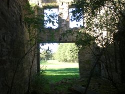 Griffe Mill Wallpaper