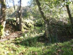 Griffe Mill Wallpaper