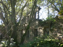 Griffe Mill Wallpaper