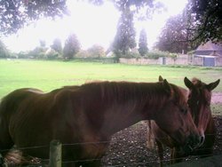 Bourton on the Water - October 2010 Wallpaper