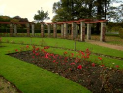 The Rose Garden Wallpaper