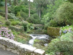 Bodnant Garden stream and bridge Wallpaper