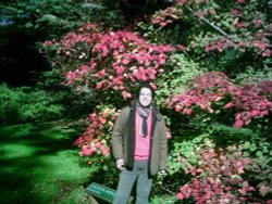 Westonbirt Arboretum - October 2010 Wallpaper