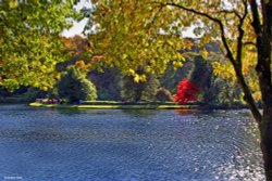 Stourton in Wiltshire Wallpaper