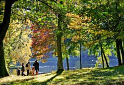 Stourton in Wiltshire Wallpaper