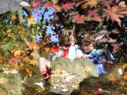 Calderstones park Wallpaper