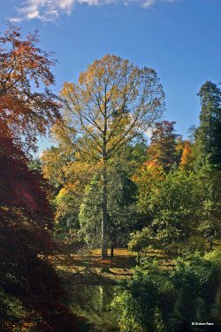 Stourton in Wiltshire