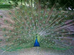 Warwick Castle Wallpaper