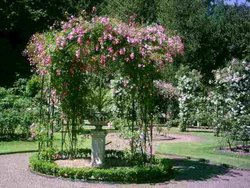 Warwick Castle Wallpaper