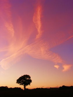 Abstract sky