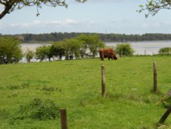 A farm and the River Alde in Iken