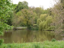 Thousand-year pond in Polstead, Suffolk Wallpaper