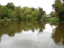 A picture of unique 1000-year pond in Polstead, Suffolk Wallpaper