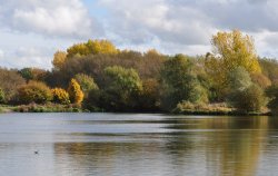 Autumn Colours Wallpaper