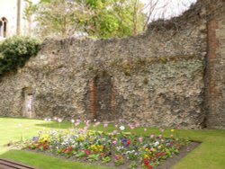 Ruins of the old Abbey in Bury St Edmunds Wallpaper