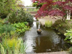 A fountain in the Abbey gardens, Bury St Edmunds Wallpaper