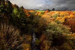 Cotherstone Autumn Wallpaper